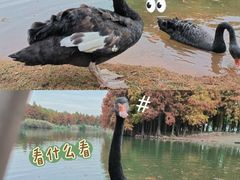 -厦门园林博览苑