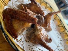 -百利鸽王(紫薇路店)