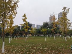 -府河摄影公园
