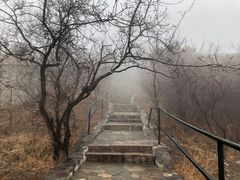 -香山公园