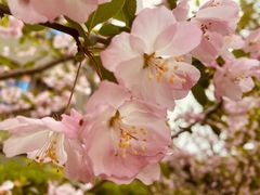 -徐家汇源景区-衡山公园