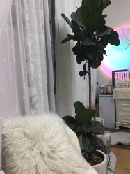 -UN·桃喜日系美睫美甲