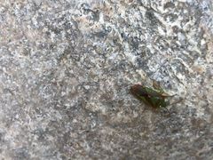 -碓臼峪自然风景区