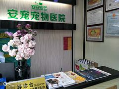 -安安宠医宠物医院·异宠·犬猫内科(岳阳分院)