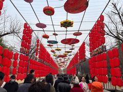-洛阳市隋唐城遗址植物园