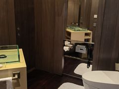 -上海柏悦酒店