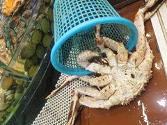 -德兴show鲜·蒸汽海鲜火锅餐厅(格创悦里店)