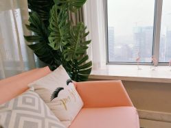 -汐月Health纤体spa中心