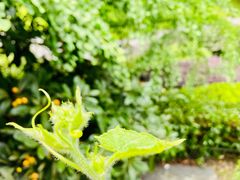 -朱鸿兴面馆(镇湖店)