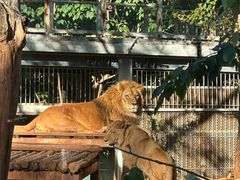 -昆明动物园