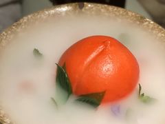 -梧桐