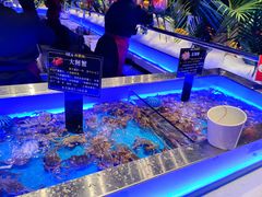 -SEA西雅图海鲜自助餐厅(海乐世界店)