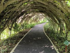 -广西壮族自治区药用植物园