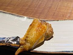 鸡翅饺子-TINY