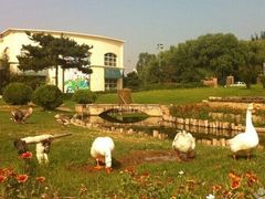 QQ图片20140608171527-月亮河温泉度假酒店