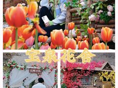 -河南宝泉旅游区