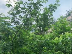 -崂山九水游览区