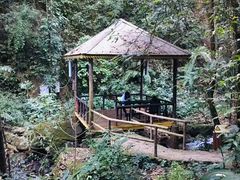 -莫里热带雨林景区