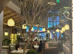 -桂满陇·海市蜃楼·黑金(国金店)