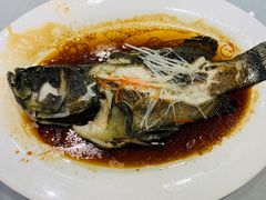 清斑鱼-船歌·鱼水饺青岛菜(闽江二路店)