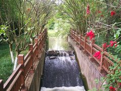 -桤木河湿地公园