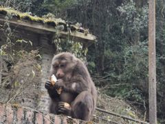 -西岭雪山大飞水景区