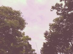 -映月湖中央公园