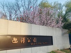 -迎泽公园