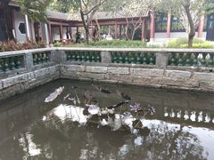 -顺峰山公园