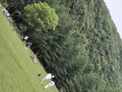 -狮子沟牧场