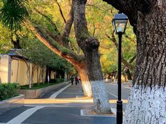 -颐和路民国时期公馆风貌区