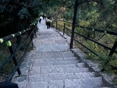 -香山公园