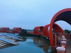 -芒洲湿地公园