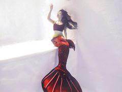 -上海潜殿潜水中心