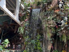 -正佳雨林生态植物园