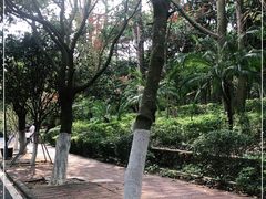 -广东茂名森林公园