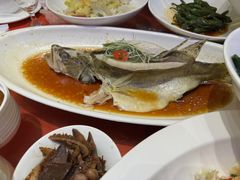 -紫阳富豪大酒店(惠南店)