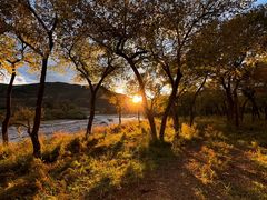 -塞罕坝国家级自然保护区