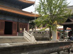 -挂甲禅寺