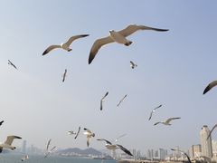 -星海广场