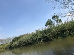 -溱湖国家湿地公园