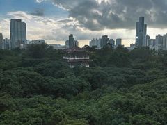 -荔枝公园(福田区)