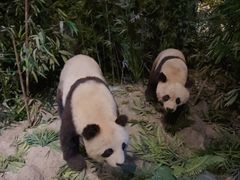 -武汉园博园(武汉自然博物馆)