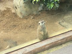 -森波拉奇妙世界