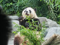 -宁波野生动物园