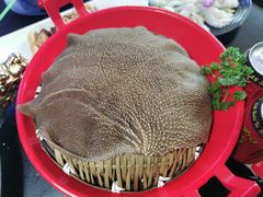 -锅说大脸毛肚重庆老火锅(佐阾店)