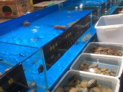 水产区-神洲四海大酒楼(王府井澳门中心店)
