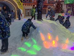 -世界之窗阿尔卑斯冰雪世界
