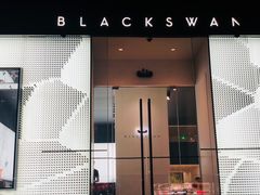 -BLACKSWAN黑天鹅(环球店)