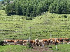 -云座·时光·观景咖啡厅(五爷庙店)